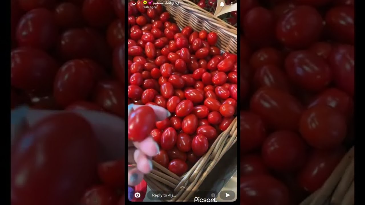 سنابات وله وغادة السحيم | امتنان في التشيك 😍🤩