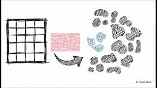 7. विभिन्न प्रकार की कोशिकाएं ➔ Different Types of Cells
