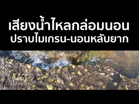 เสียงน้ำไหล กล่อมนอน ทำให้นอนหลับลึกใน 10 นาที ปราบไมเกรน - นอนหลับยาก ธรรมชาติแบบบ้านเรา