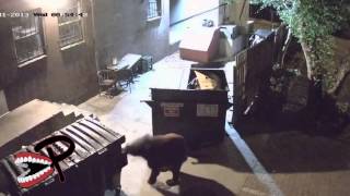 Epic Fail Win Compilation August 2013   Best Compilation ✔