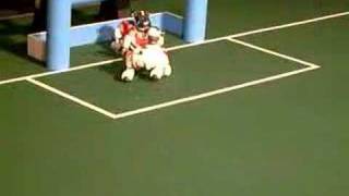 RoboCup 2007