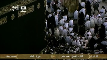 القارئ الشيخ احمد عامر سورة الملك