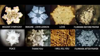 Sadhguru- Water has memory