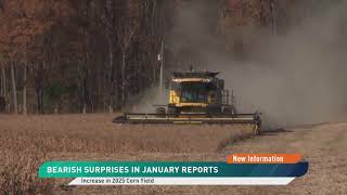 The Latest WASDE Report Brings Bearish Surprises