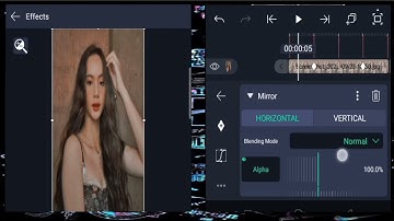 (MIRROR EFFECT TUTORIAL)|ALIGHT MOTION TUTORIAL FOR BEGGINERS