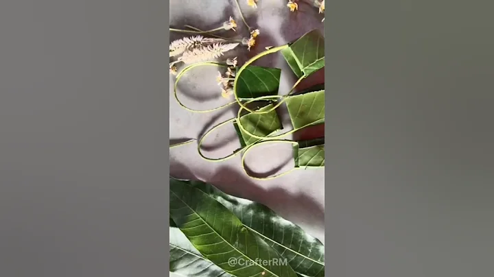 How to make mango leaf bag ! #shorts #ytshorts #leaf #craft #diy #handmade #mangoleaf #viralshorts