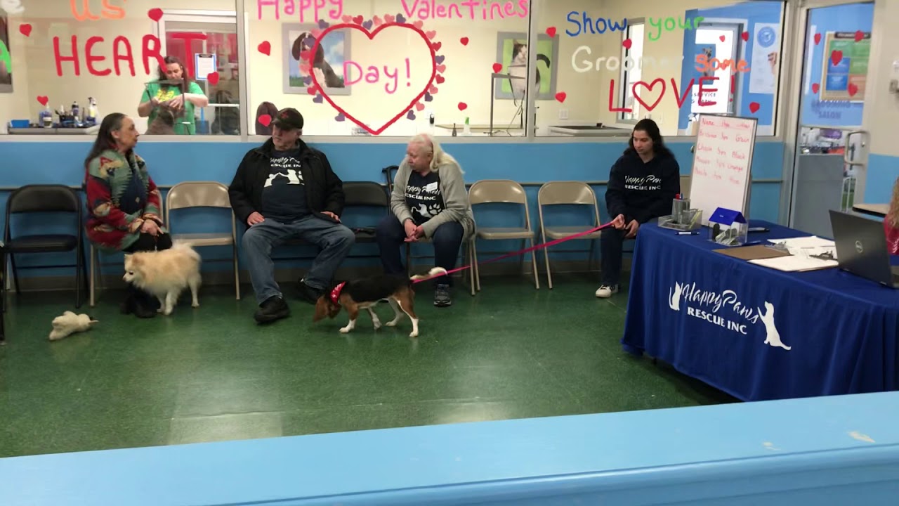 Dogs in Petco behaving YouTube