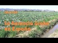 Herencia Árabe en la Península Ibérica