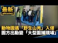 馬杜洛統治爭議