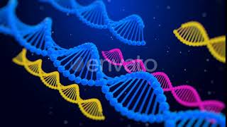 Structure Of The DNA Molecule | Motion Graphics - Envato elements