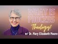 What is process theology w mary elizabeth moore processparty
