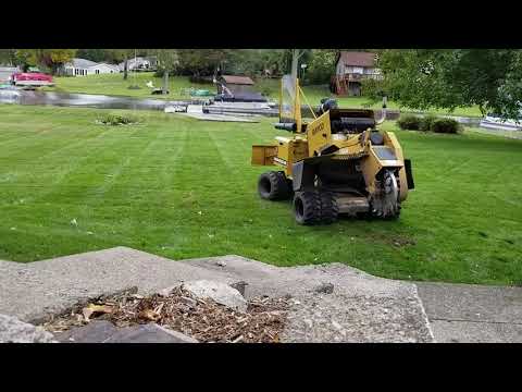 How to grind out a tree stump. (Mr Stump) 248.321.0744/www.mrstump.net
