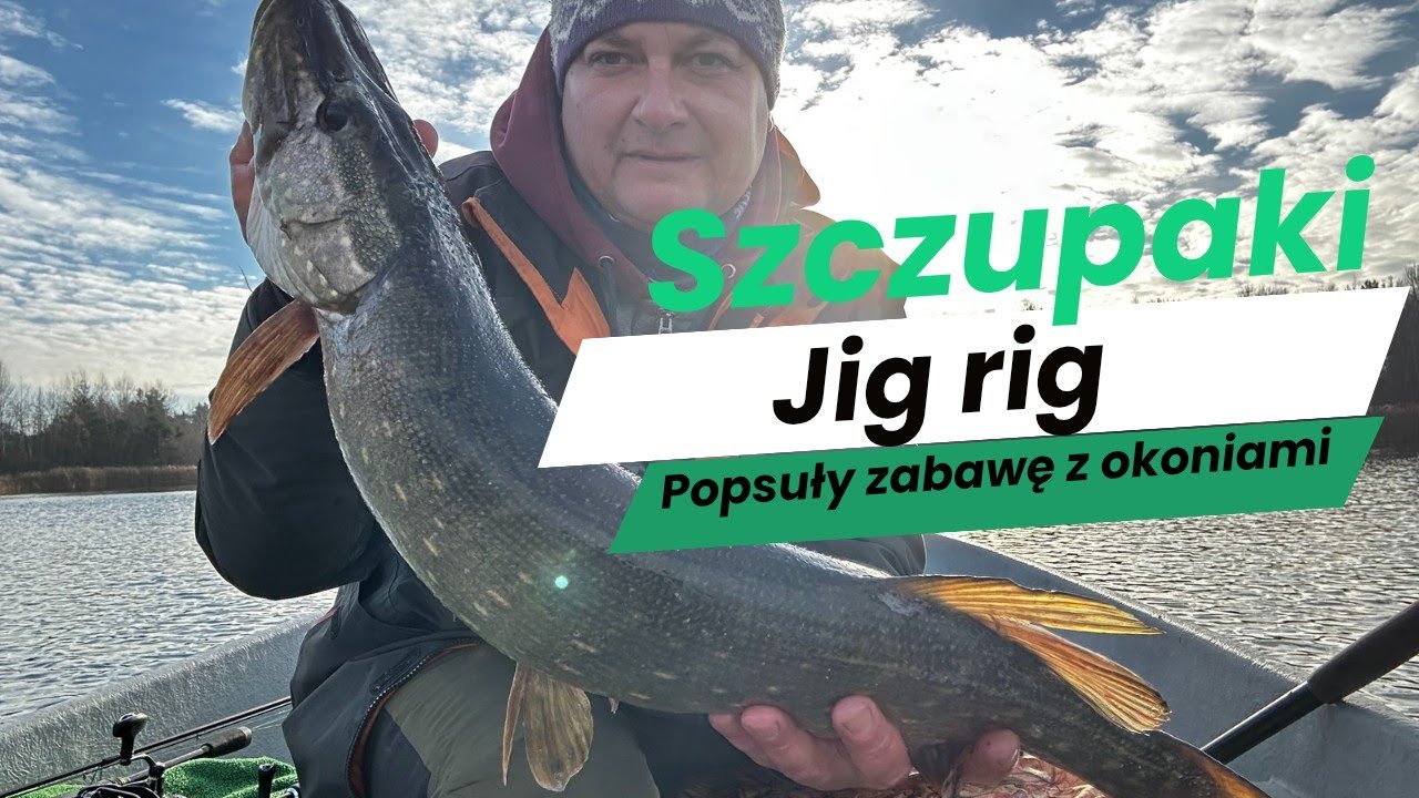 Szczupaki popsuły zabawę z okoniami #okoń  #szczupak #wędkarstwo 