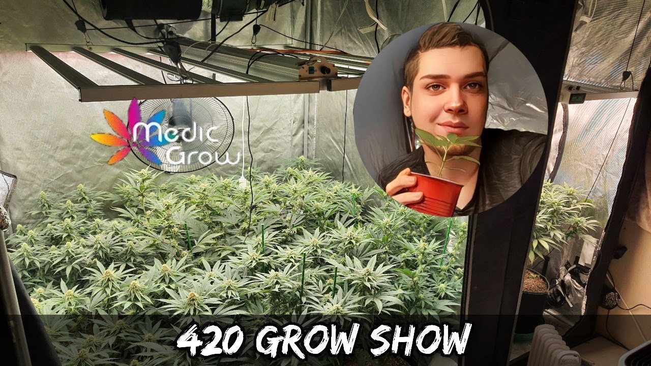 420 live Grow Show destroys the internet - Gigi-Army