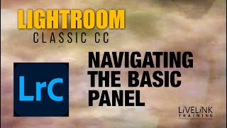 Navigating The Basic Panel
