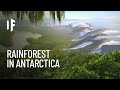 What If Antarctica Were a Rainforest?