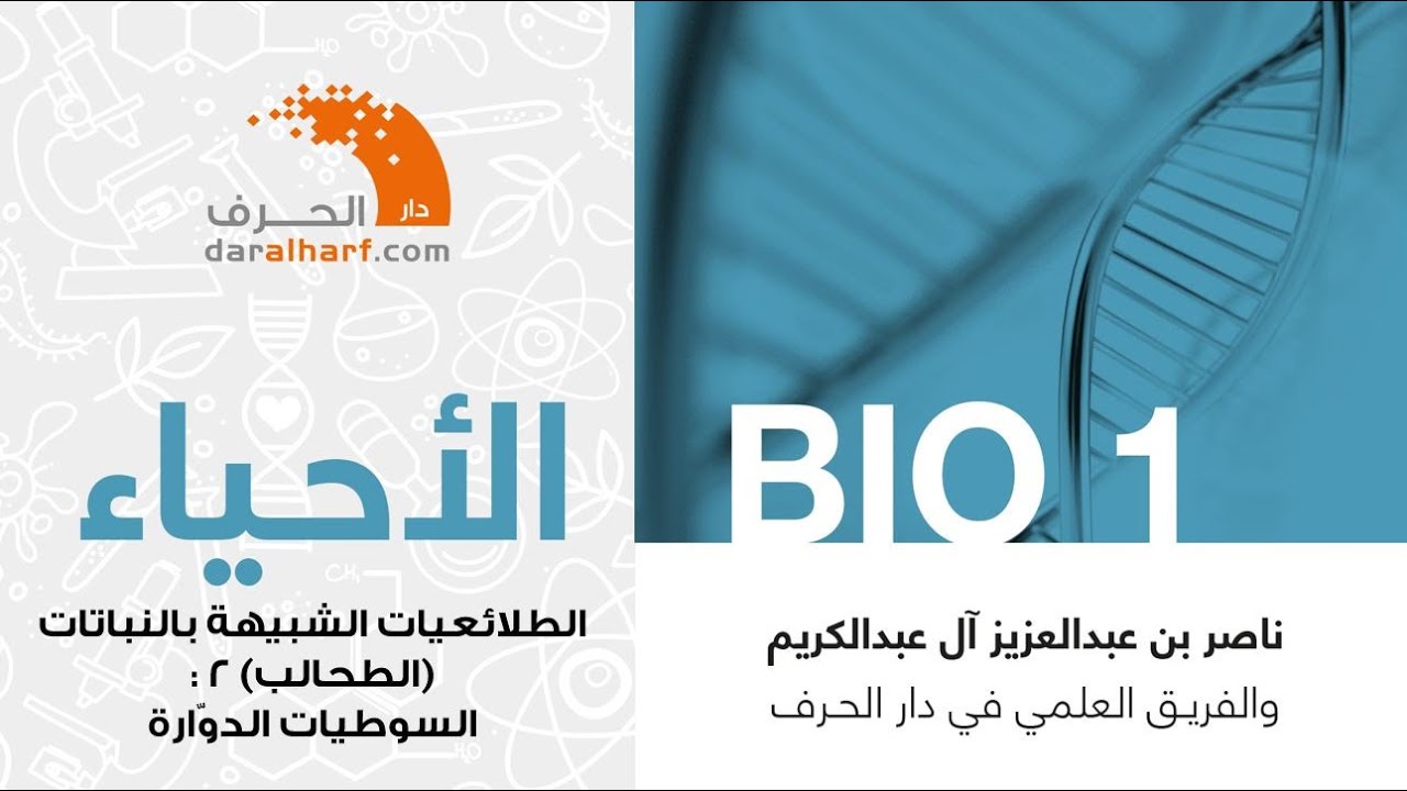 ماركو بولو مهنة إقناع السوطيات الدوارة Aylanmanradio Com