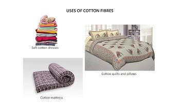 Class VI Science Topic:  chapter 3  fibre to fabric, revision