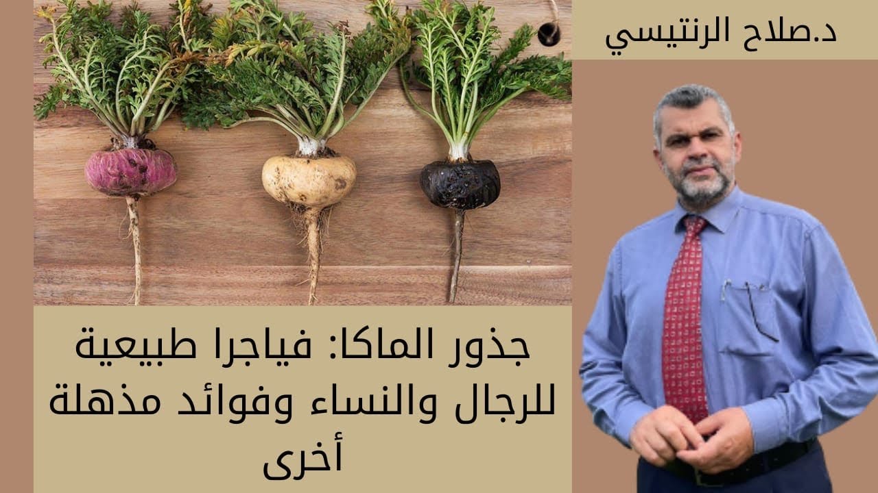 76- جذور الماكا: فياجرا طبيعية للرجال والنساء وفوائد مذهلة أخرى / فوائد ...