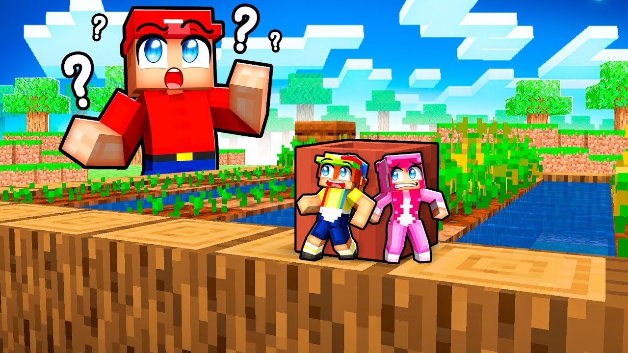 We Hid As DIFFERENT SIZES In Minecraft!