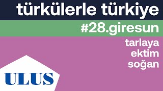 Canan Kılınç - Tarlaya Ektim Soğan Giresun Türküleri