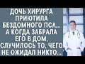 Дочь хирурга приютила бездомного пса… А когда забрала его в дом, случилось то, чего не ожидал никто…