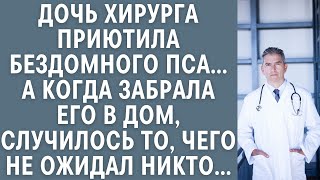 видео: Дочь хирурга приютила бездомного пса… А когда забрала его в дом, случилось то, чего не ожидал никто… картинка: Дочь хирурга приютила бездомного пса… А когда забрала его в дом, случилось то, чего не ожидал никто…