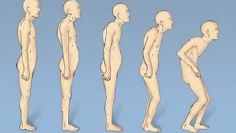 Meek's Stand Tall # 1-Set Your Foundation - Osteop...