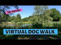 VIRTUAL DOG WALKING | Dog Walk In Beautiful Park (Original Sound)