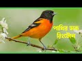 পাখির ডাক রিংটোন / Pakhir dak phone ringtone