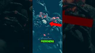 Top 5 Natural Phenomenon You Might Only See Once In Your Lifetime 