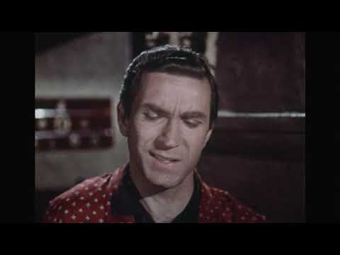 Peter Mark Richman Guest Stars In T H E Cat Moment Of Truth 1966 