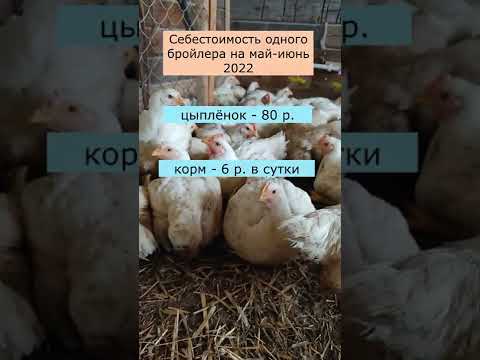 Себестоимость бройлеров на