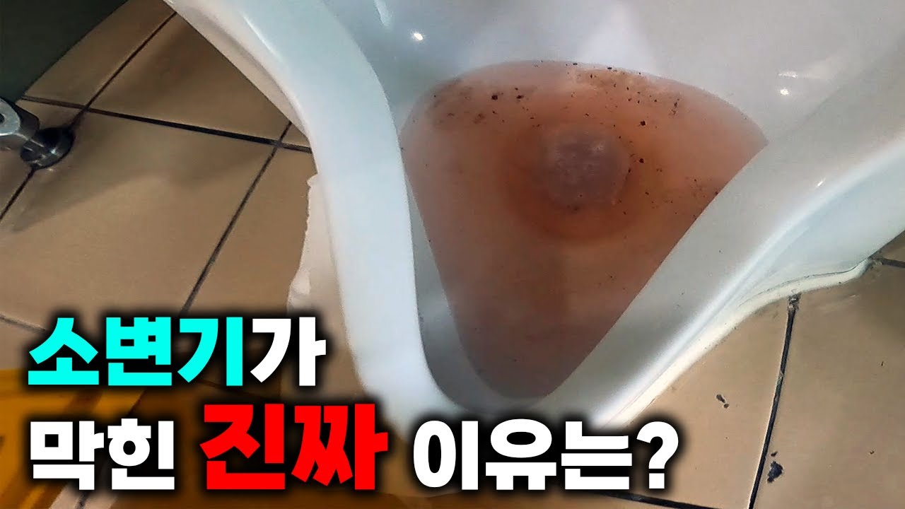 시청 소변기 4대 막힘, 아래층 천장에서 메인관과 가지관을 세척했습니다 현장 영상 썸네일