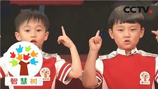 【Wisdom Tree】20171206 | CCTV Child