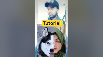 animal face filter tutorial video tiktok #filter #animalface #youtubeshorts #short #viral #shorts