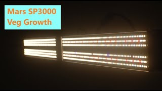 Mars Hydro SP 3000 veg growth
