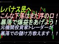 レバナス民へ　こんな下落はまだ序の口！暴落で爆益をあげよう！元機関投資家トレーダーが暴落での儲け方教えます！