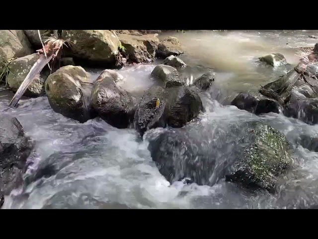 Ambient River Sounds for Meditation | White Noise for Deep Focus