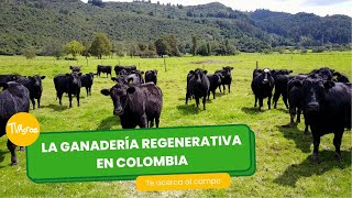 La ganadería regenerativa en Colombia - TvAgro por Juan Gonzalo Angel Restrepo by TvAgro 2,967 views 4 days ago 27 minutes