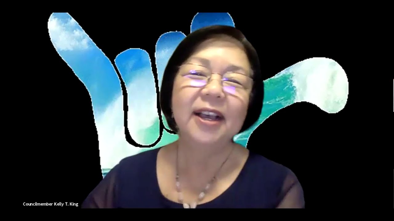 Council Member Kelly King Town Hall with Lt. Governor Josh Green