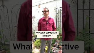 What Is Affective Realism?