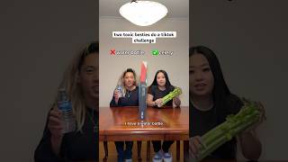 TWO TOXIC BESTIES (LYING CHALLENGE) 🤣🤣 #shorts #comedy #challenge