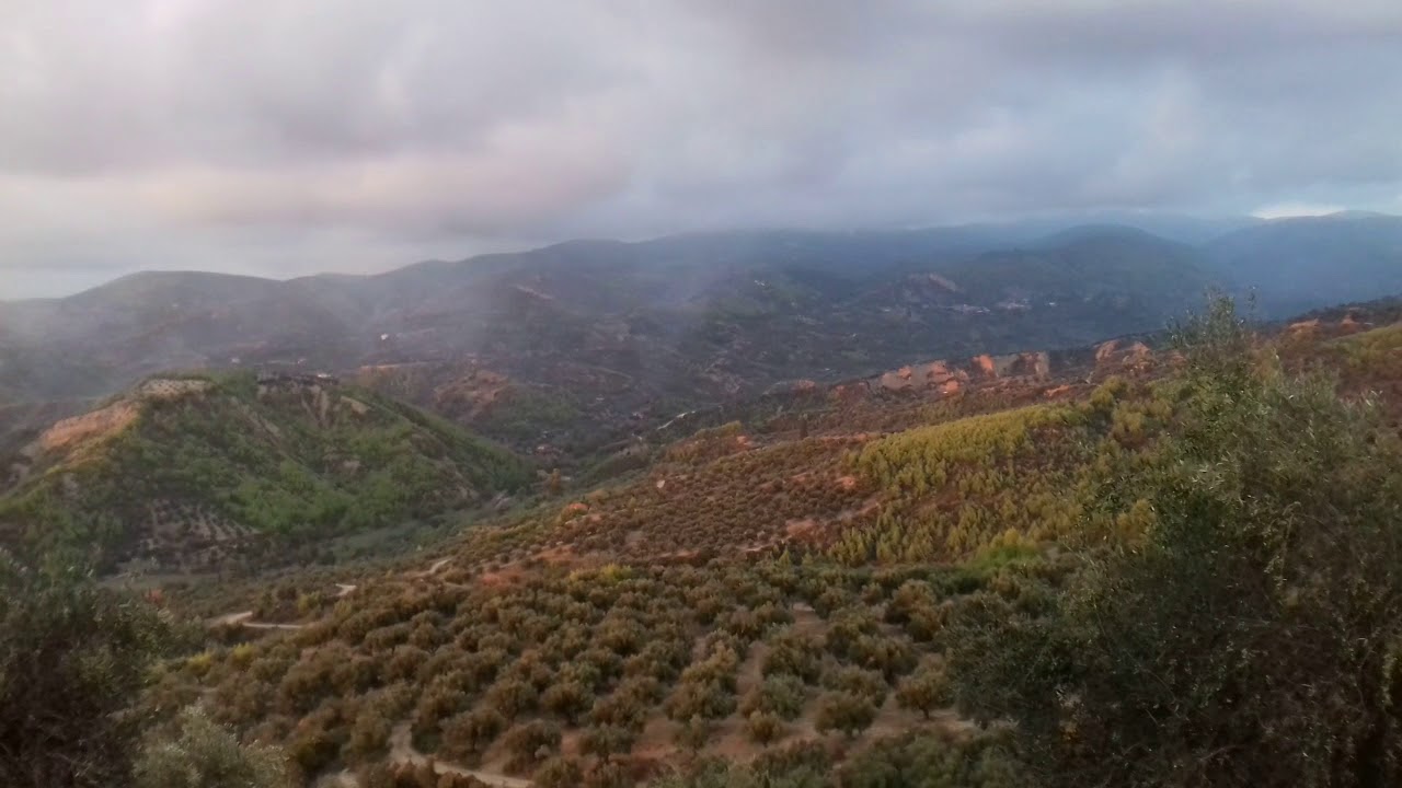 SO CLOSE | Canadair CL-215 & Sikorsky S-64 Skycrane (Ericsson) | Low approach and Water Drop