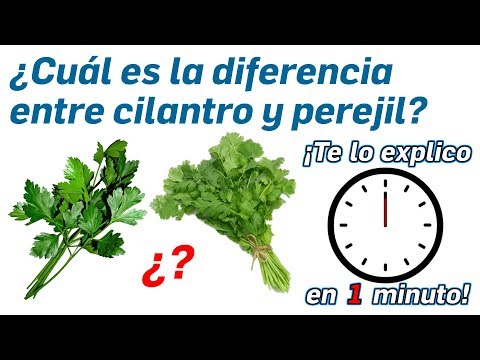 30.- ¿Cuál es