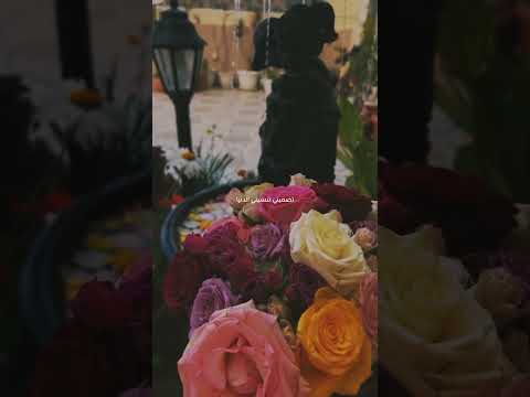 شو بدنا نساوي صلاح هليل