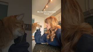 We Have Made No Progress.