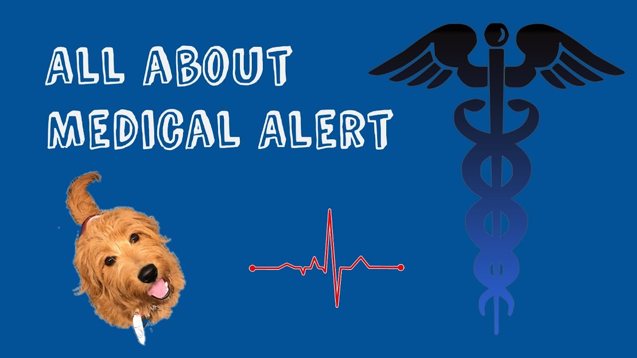 All About Medical Alerts Info & Training YouTube