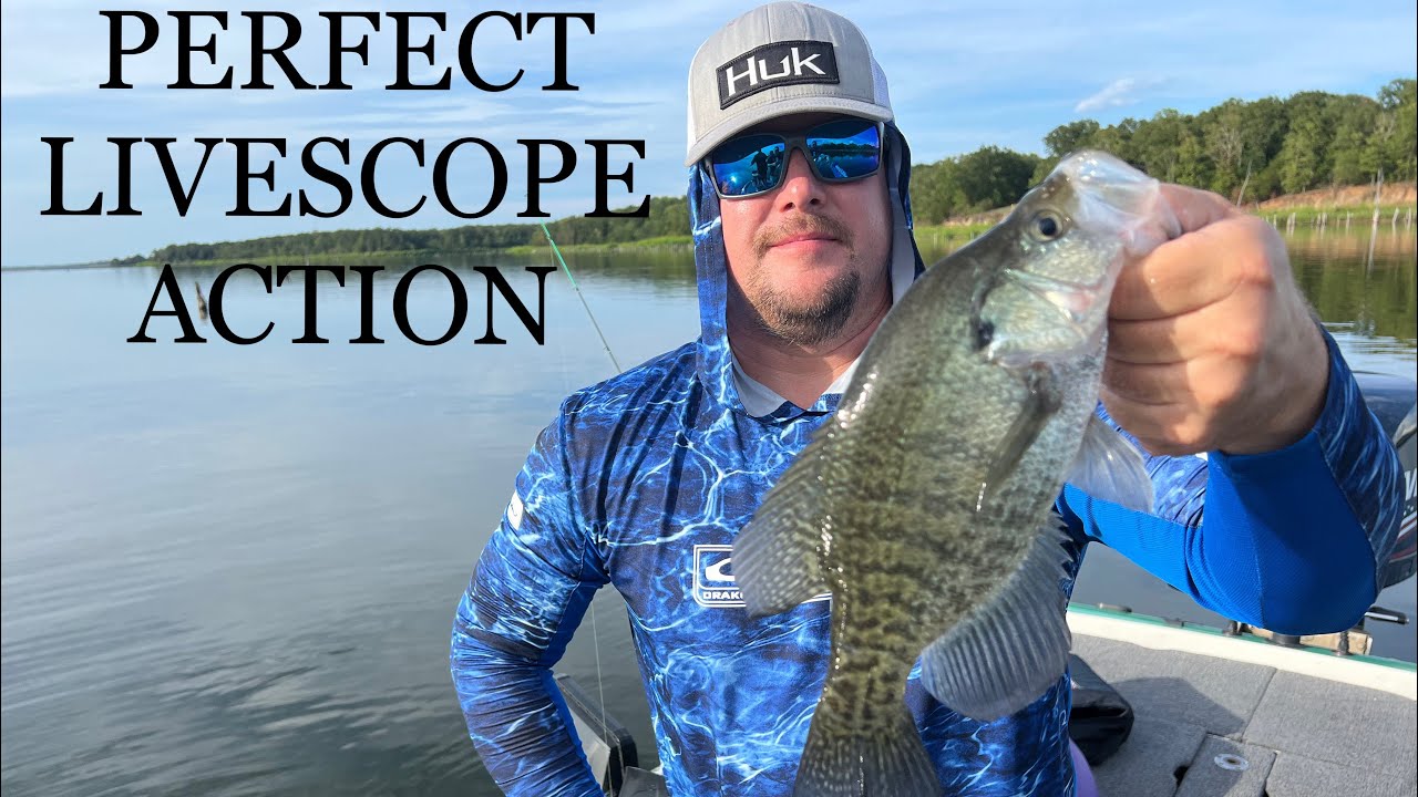 LAKE FORK CRAPPIE, GREAT LIVESCOPE ACTION YouTube