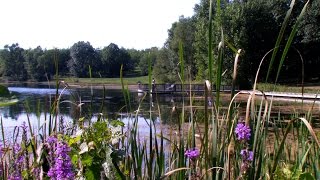 Rolling Hills County Park Washtenaw County Michigan